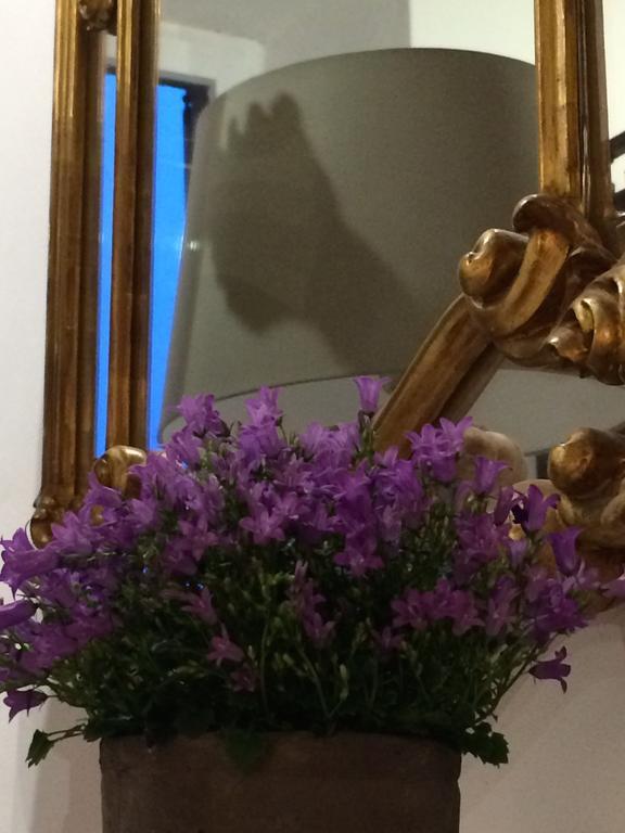 Le Stanze Del Cardinale Bed and Breakfast Παβία Εξωτερικό φωτογραφία